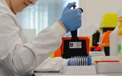 Development of standardised challenge meals to meet Regulators demands for Oral Food Challenges